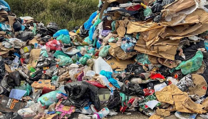 Nova plataforma brasileira permite rastrear a reutilização de plástico